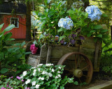 2007-06-14_0007.jpg