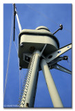 19Sept09Bf.jpg