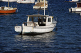 WCS1204.jpg