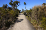 WCS1235.jpg