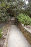 WCS1547.jpg