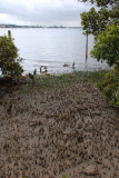 WCS1809.jpg