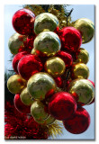 22Dec10Af.jpg