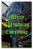 23Dec10Nf.jpg