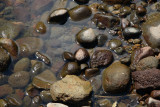 Huia stream stones 0423r.jpg