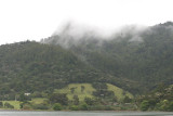 Huia Hills on a misty morning 0557.JPG