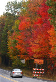 SEASONAL - Autumn Colors