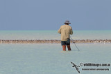 Shorebird counting 1397.jpg
