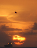 sunset-Antigua