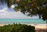 Hawksbill Bay-Antigua