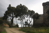 tower and trees