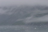 gray-Glacier Bay