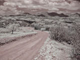 Southern AZ #2