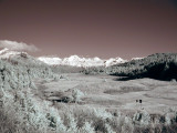 PA278936-c.jpg