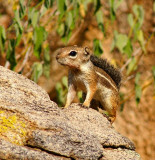 PICT0987c.jpg