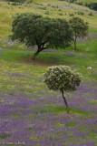 Portugal C1D3_24321.jpg