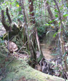 SteveIrwinReserve.jpg