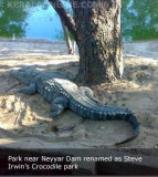kerala crocodile park steve irvin.jpg