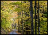 Rock Run Road 2