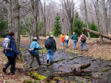 STC on headwaters of Pine Creeks West Branch