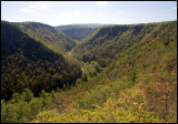 Canyon from Barbour Rock