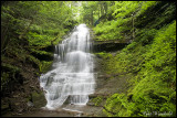 Rexford Branch of Four Mile Run