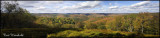 Losey Vista panorama