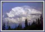 Denali from Wonder Lake Campground