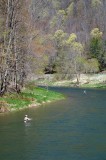 FlyFishers, Pine Creek