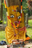 Hindu Tree Shrine