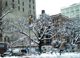 Tribeca after the snow