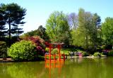 Brooklyn Botanic pagoda