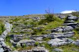 Ascending the burren