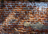 Ancient wall at the Pirates house in Savannah