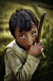 little farmer 2