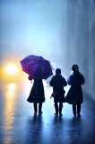 morning rain 1