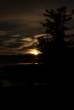 IMG_4503.jpg