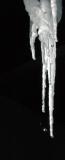 DSC_0963a_resize.jpg