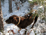 Snow 12-16-07 027.jpg