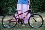 Raleigh Hot Rod