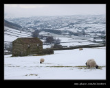 Swaledale Barns #06, Yorkshire Dales