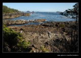 Wild Pacific Trail #1, Ucluelet, Vancouver Island