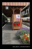 Bewdley Station #17