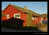 Fambrinis #01, Davenport, California