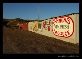 Fambrinis #02, Davenport, California