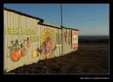 Fambrini's #04, Davenport, California