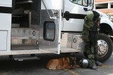 The Bomb Squad Doggy says... Wheres My Daddy...