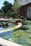 Watering the LiliPads!