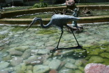 A Walk in Shallow Waters!