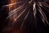 IMG_8014e.jpg